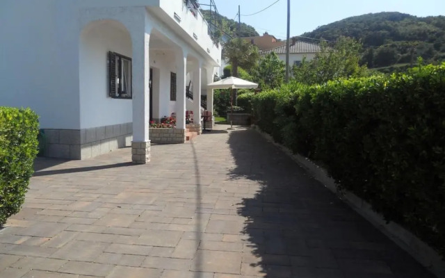 Ivo - With Terrace - A1