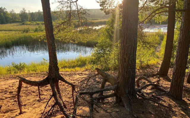 Дом на улице Набережная 31