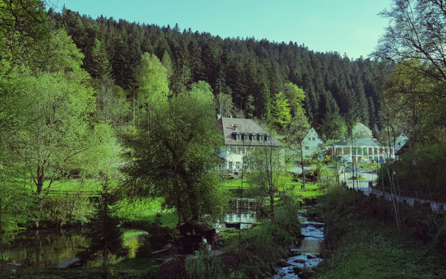 Gut Lauterbad Hotel