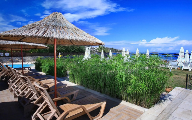 Cactus Fleur Beach Club - All Inclusive