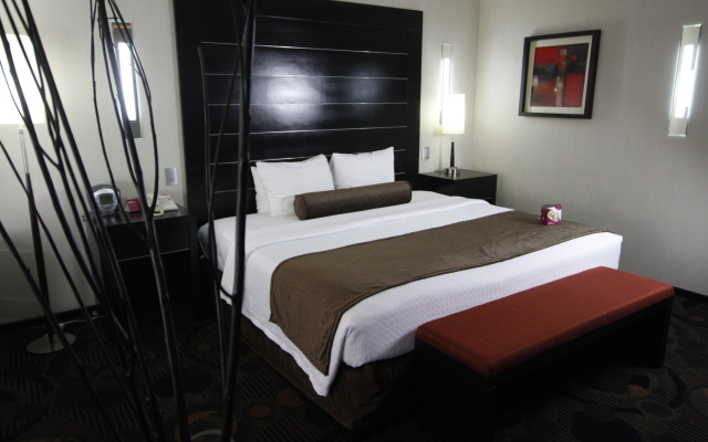 Crowne Plaza Toluca Lancaster by IHG