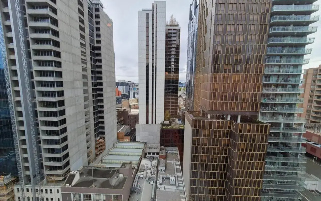 Relaxed 1BR1BA city view apt+WIFI in CBD
