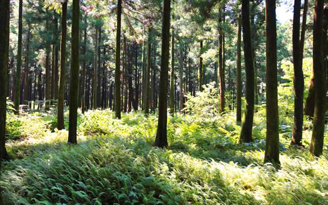 Yeongwol Nice View Pension