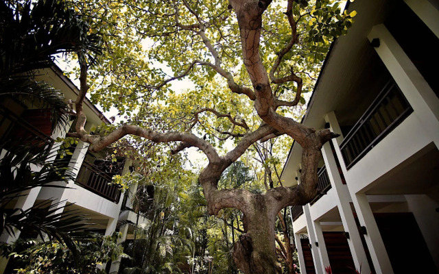 The Hive Hotel Samui