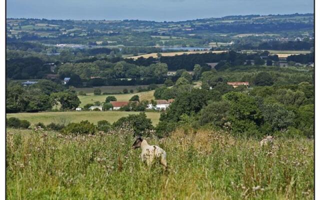 Converted Farm Buildings in 250acre Nature Reserve