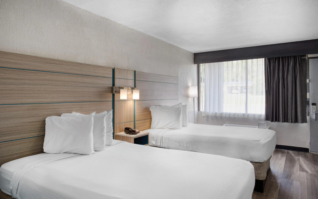 Best Western Executive Inn