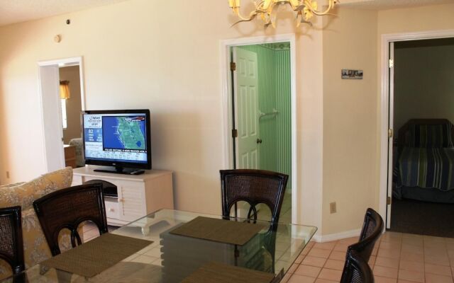 Beach Palms 505