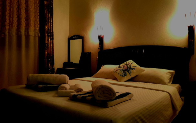 Island Guest - photo 4