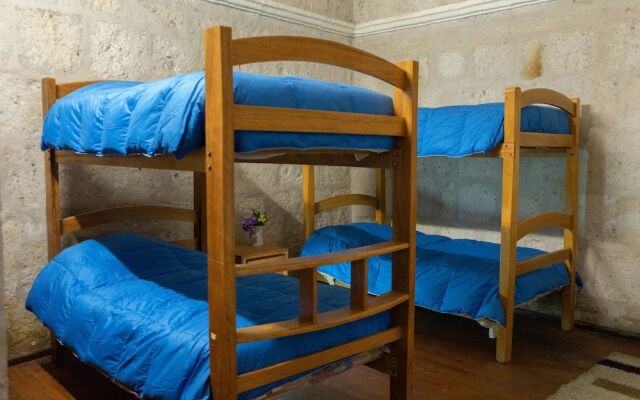 Lion AQP hostel