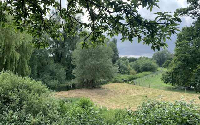 Wensum Glamping