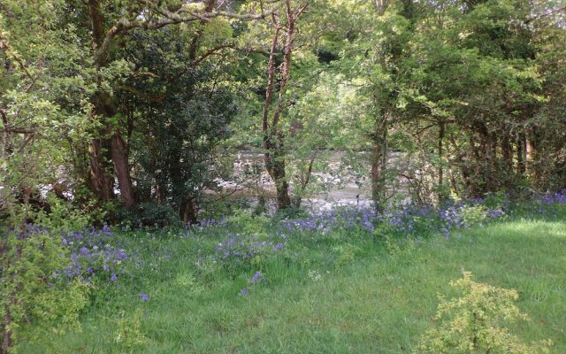 Killarney Glamping at the Grove