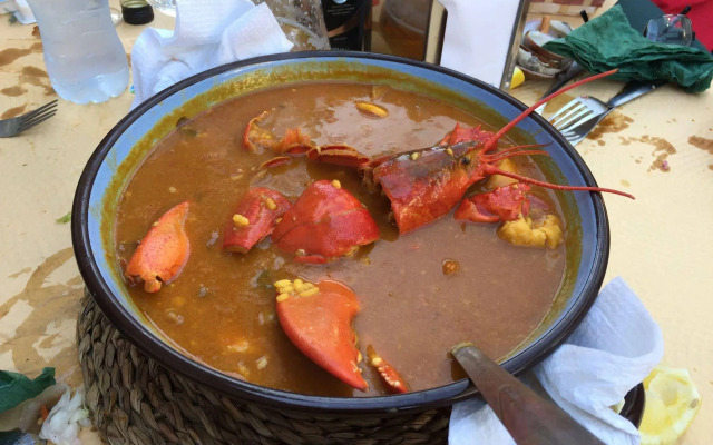 Marbella Skol