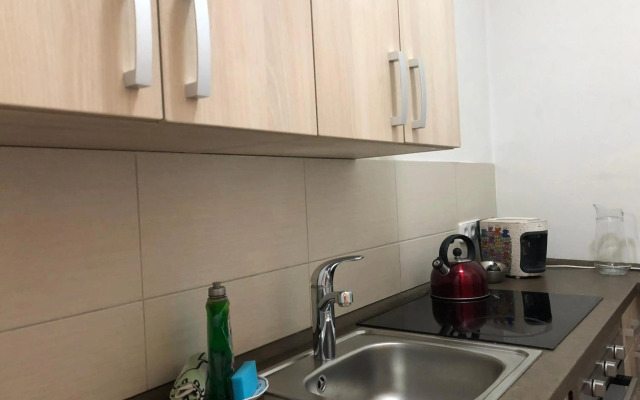 Luxury Apartments Zelny Trh 11