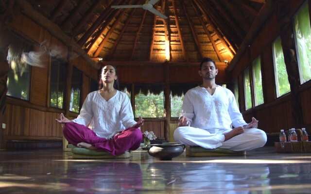 Raíces del Cielo Oasis Holístico