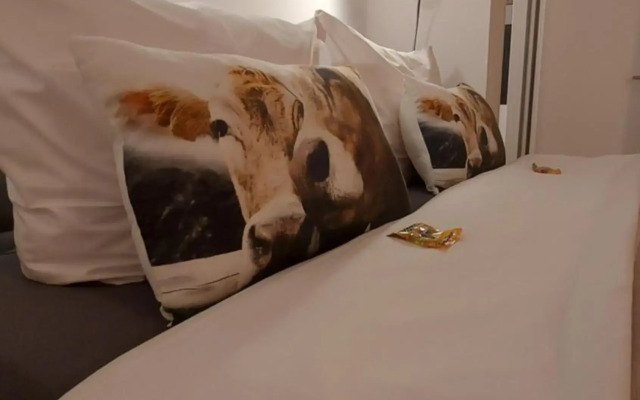 Ferienwohnung Bergblume