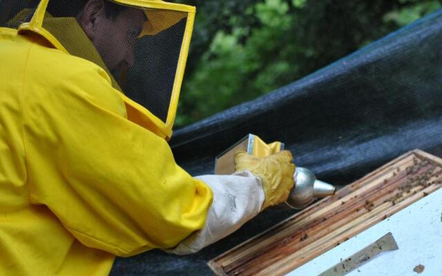 Appartamenti Il Medeghino