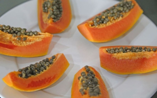 Pousada Recanto da Morada