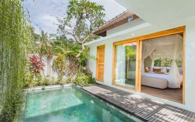 Suari's Villa