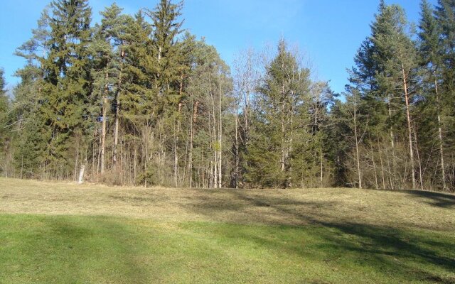 Ferienhaus Waldbankerl