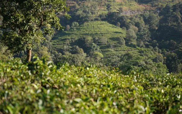 The Autumn by Maat Hotels