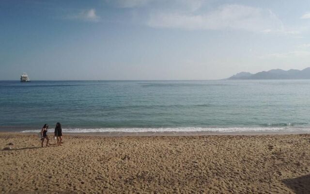 Very Nice Appart in Cannes, 1 mn Palais Festival !