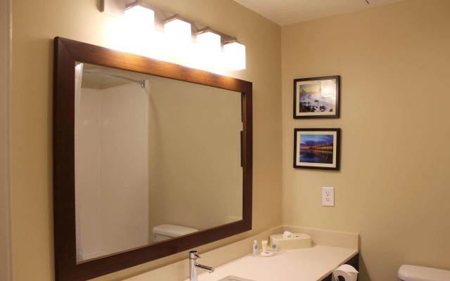 Comfort Suites near Camp Lejeune