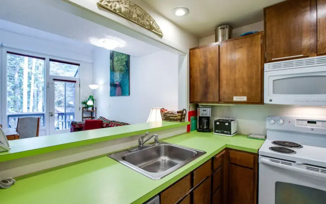 Mt Baker Lodging Condo 38 - Sleeps 6