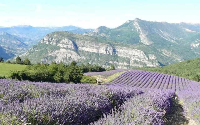 Auberge de l'escargot d'or