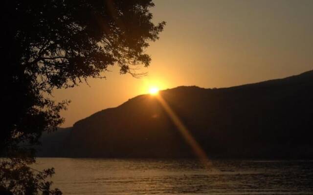 Social Camping JAL