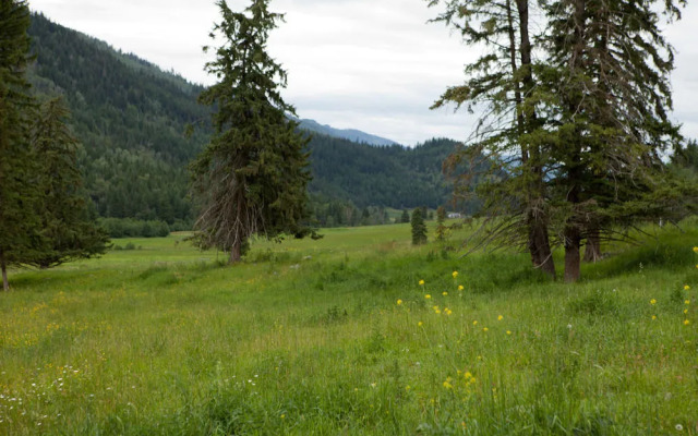 Tod Mountain Guest Cabins