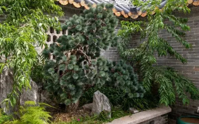 Fengjian Runlan Yaju Hotel