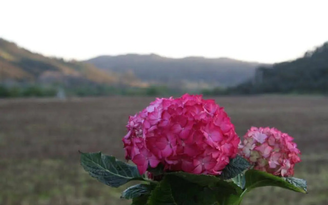 Monte da Várzea