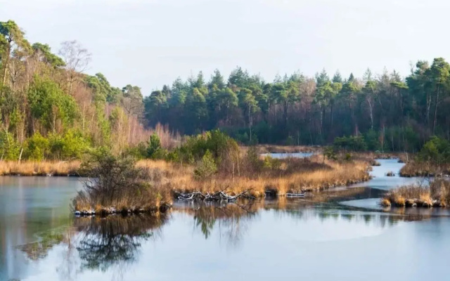 Peaceful Stay Near Trails