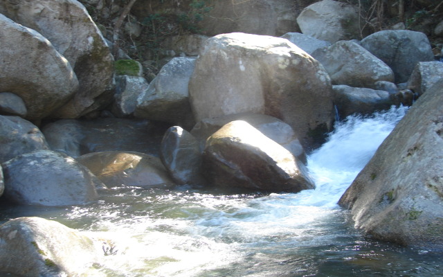 Pousada Canto do Curió