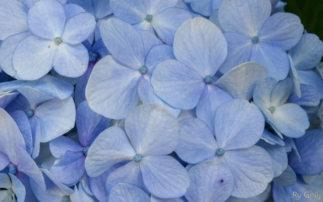 Rancho Pedra do Picú