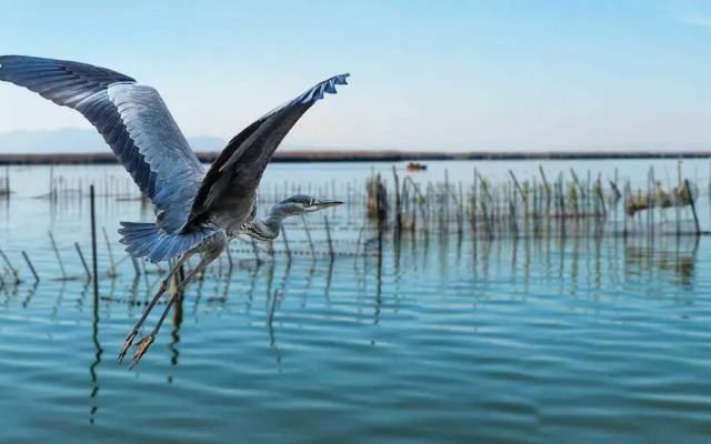 Albufera Dreams Nature Suites