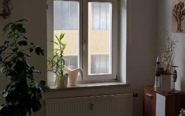 FeWo im Herzen Reichenbachs