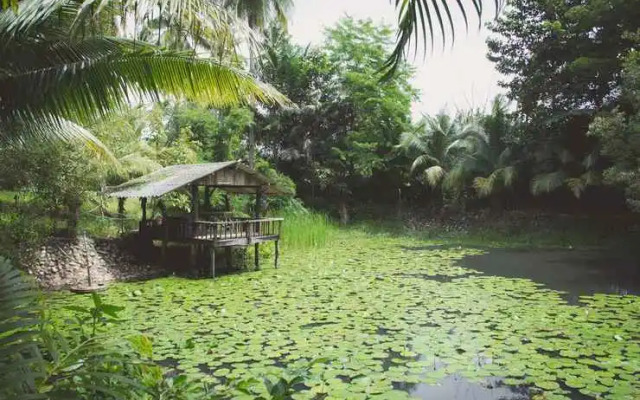 Coconut Garden Bungalow