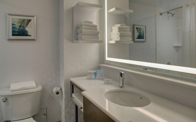 Hampton Inn & Suites Miami-Airport South-Blue Lagoon
