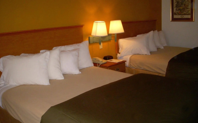Best Western Albany Garden Inn