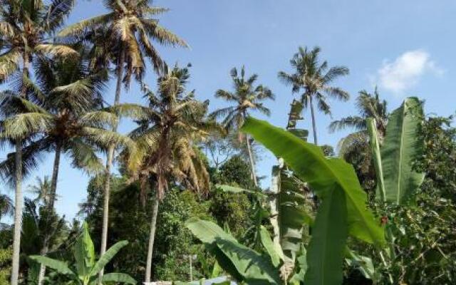 Uma Loris Ubud