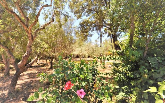 SA ROTA Finca en Bunyola 8 personas- Muy tranquilo