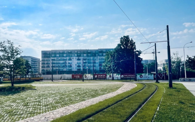 Białołęka Dionizosa