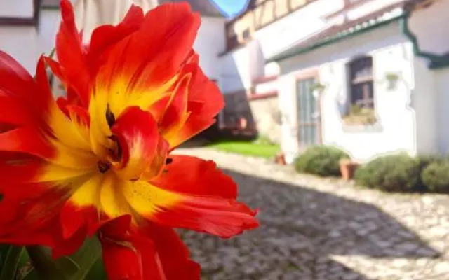 3 Seiten Ferienwohnung