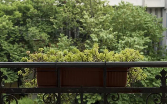 Italianway   - Mantegna