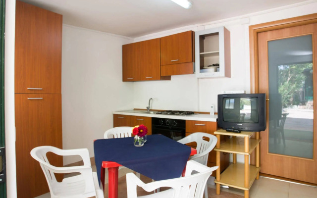 Intercamping Apollo