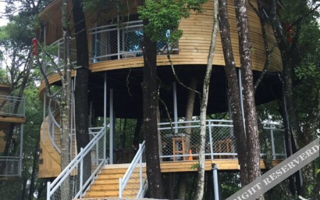 Yinxin'gu Treehouse Hotel