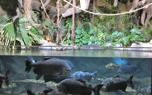 Perla's House Studio with incredible sea view