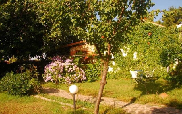 Alekas Studios