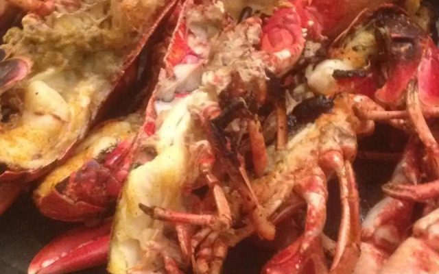 Studio les Trois Etoiles de Mer